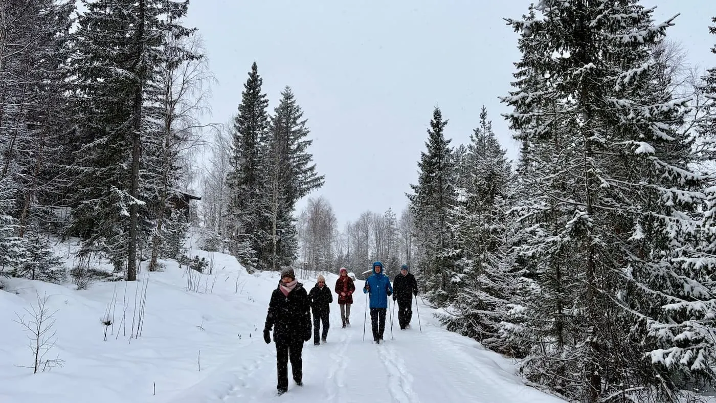 Wandelen in de verstilde, besneeuwde Noorse bossen